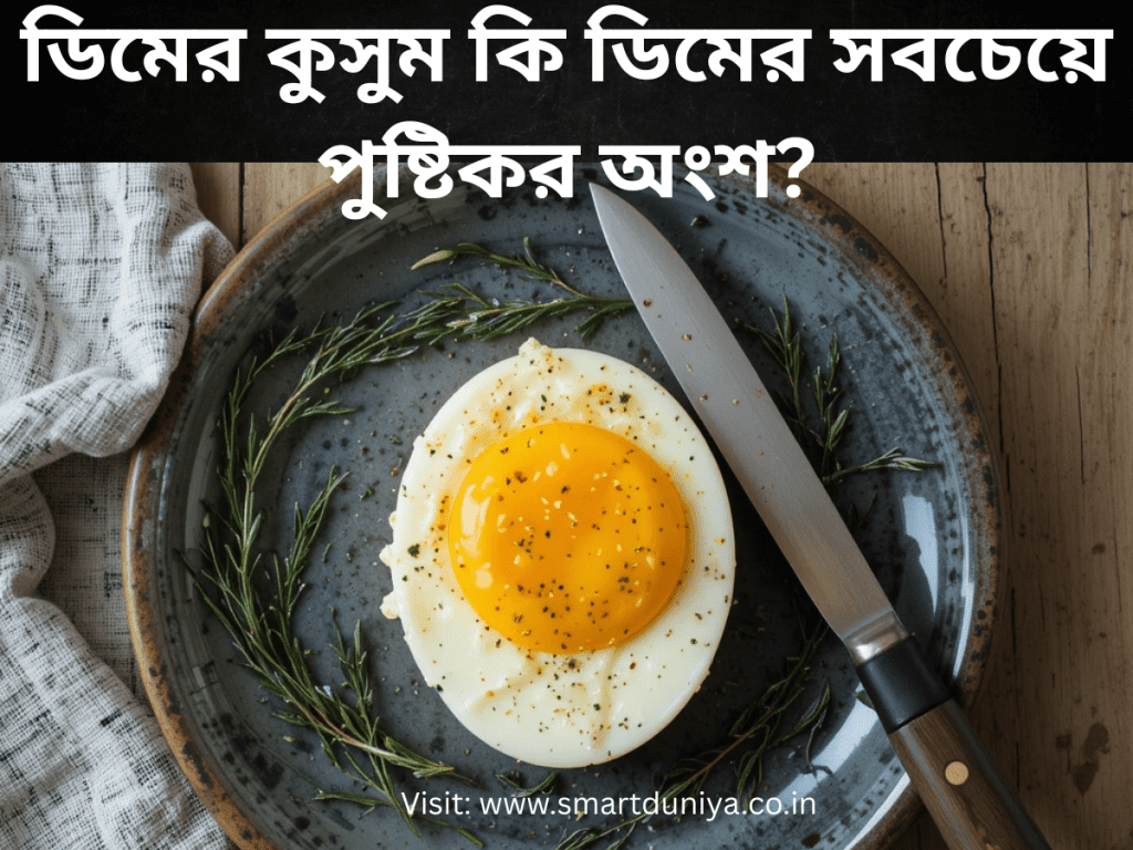 ডিমের কুসুম (Egg Yolk) ডিমের সবচেয়ে পুষ্টিকর অংশ