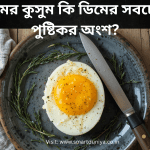 ডিমের কুসুম (Egg Yolk) ডিমের সবচেয়ে পুষ্টিকর অংশ