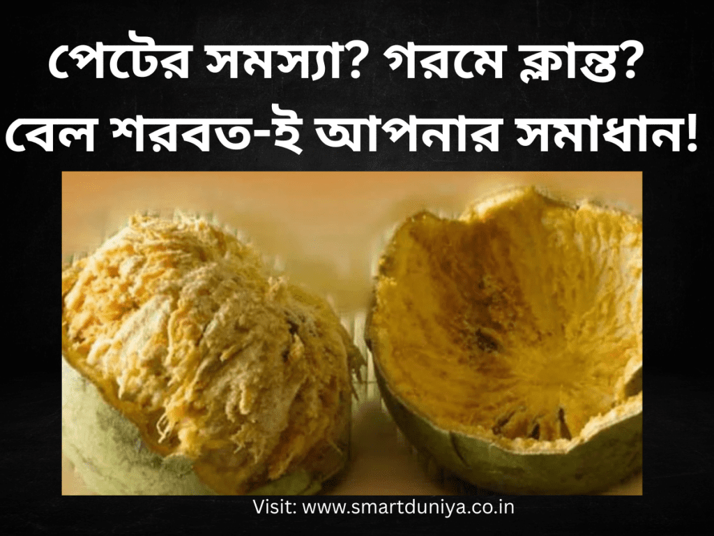 পেটের সমস্যা? গরমে ক্লান্ত? বেল শরবত-ই আপনার অল-ইন-ওয়ান সমাধান!