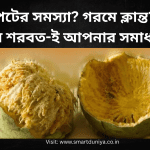 পেটের সমস্যা? গরমে ক্লান্ত? বেল শরবত-ই আপনার অল-ইন-ওয়ান সমাধান!