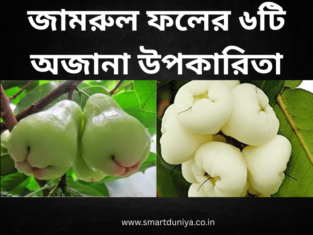 জামরুল ফলের ৬টি অজানা উপকারিতা