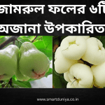 জামরুল ফলের ৬টি অজানা উপকারিতা