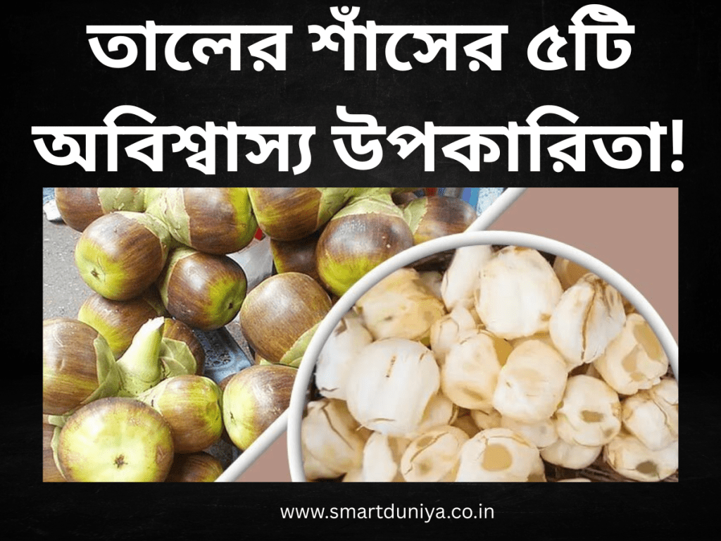 তালের শাঁসের ৫টি অবিশ্বাস্য উপকারিতা!