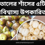তালের শাঁসের ৫টি অবিশ্বাস্য উপকারিতা!