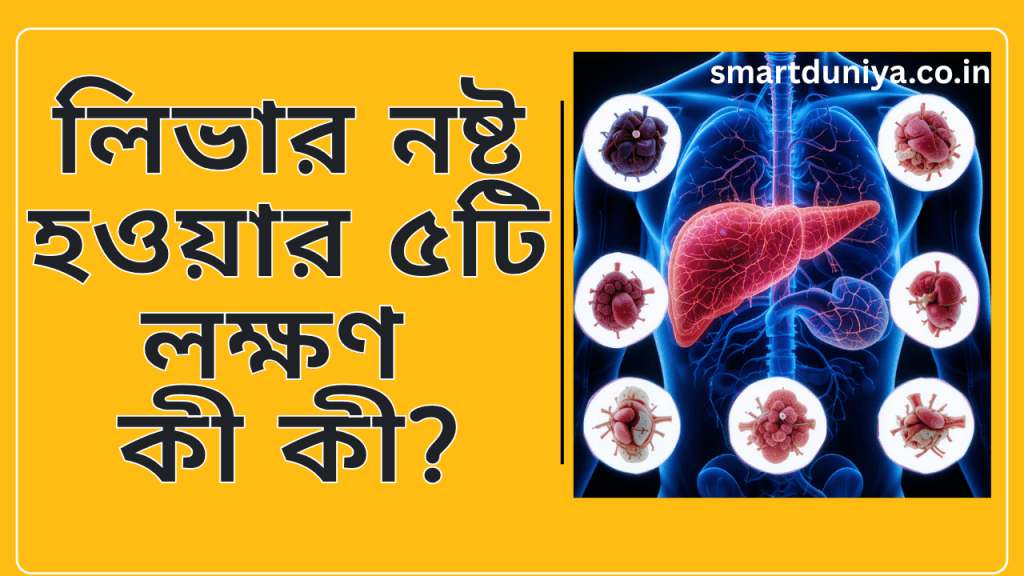 লিভার নষ্ট হওয়ার ৫টি লক্ষণ কী কী?