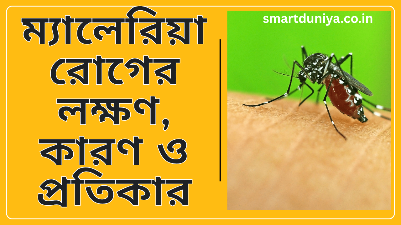 ম্যালেরিয়া রোগের লক্ষণ, কারণ ও প্রতিকার