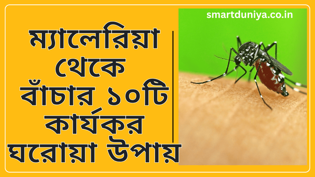 ম্যালেরিয়া থেকে বাঁচার ১০টি কার্যকর ঘরোয়া উপায়