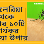 ম্যালেরিয়া থেকে বাঁচার ১০টি কার্যকর ঘরোয়া উপায়