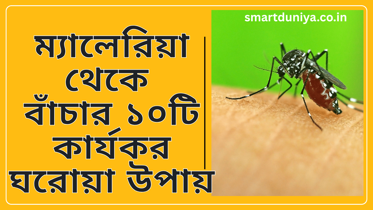 ম্যালেরিয়া থেকে বাঁচার ১০টি কার্যকর ঘরোয়া উপায়