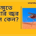 ডেঙ্গুতে বারবার জ্বর আসে কেন?