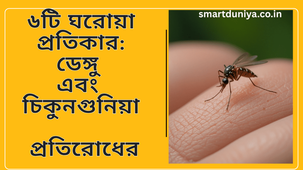 ৬টি ঘরোয়া প্রতিকার:ডেঙ্গু এবং চিকুনগুনিয়া প্রতিরোধের