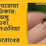 ৬টি ঘরোয়া প্রতিকার:ডেঙ্গু এবং চিকুনগুনিয়া প্রতিরোধের
