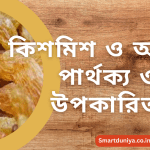 কিশমিশ ও আঙুর: পার্থক্য ও উপকারিতা