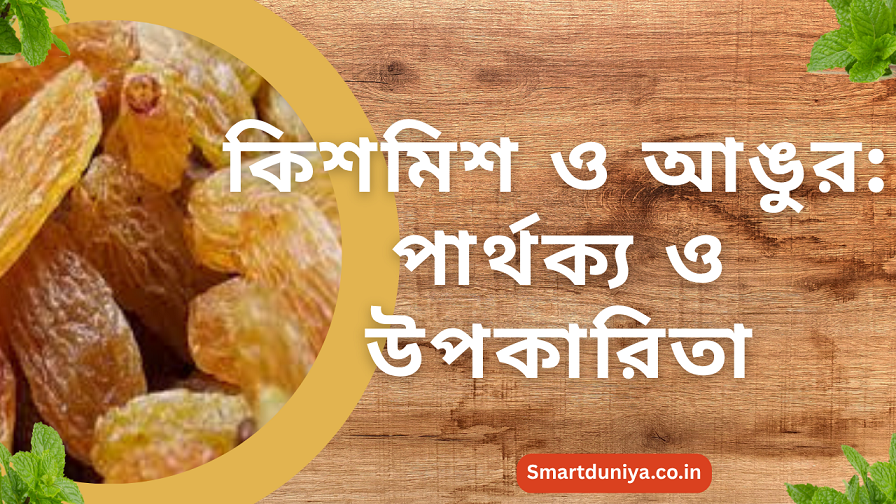 কিশমিশ ও আঙুর: পার্থক্য ও উপকারিতা