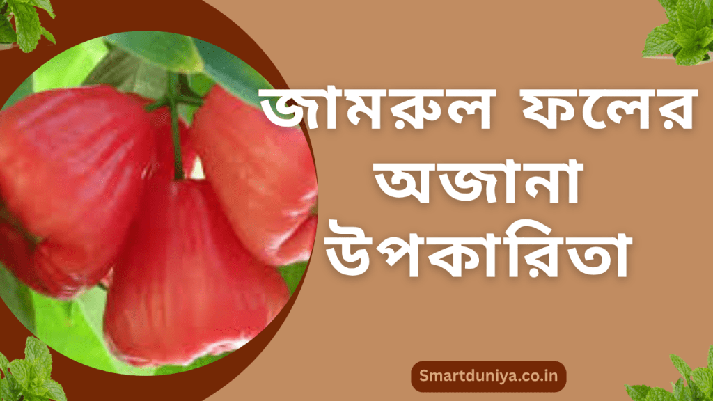 জামরুল ফলের অজানা উপকারিতা