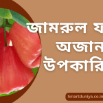 জামরুল ফলের অজানা উপকারিতা