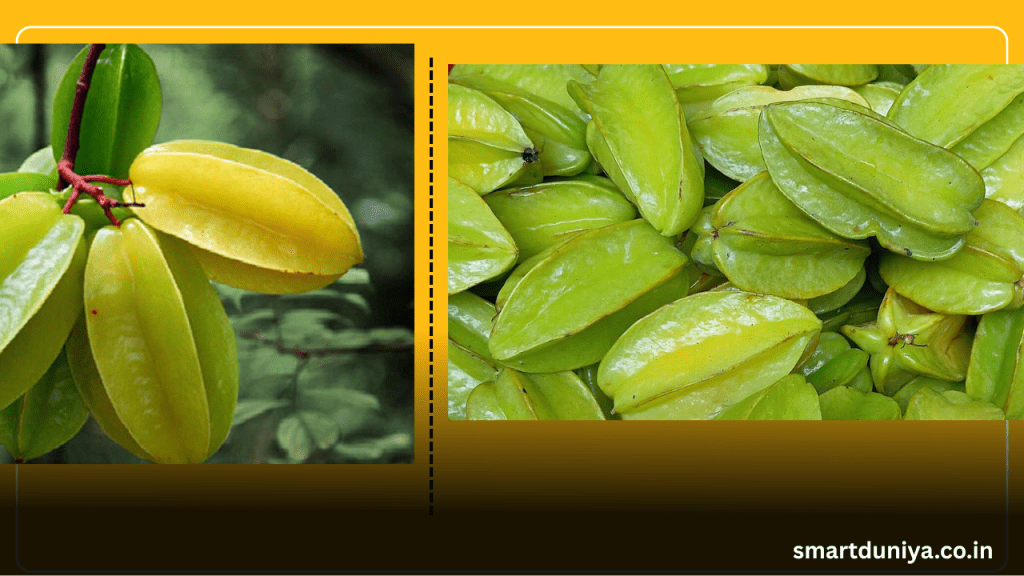 কামরাঙ্গা-ফলের-উপকারিতা-অপকারিতা-পুষ্টিগুণ