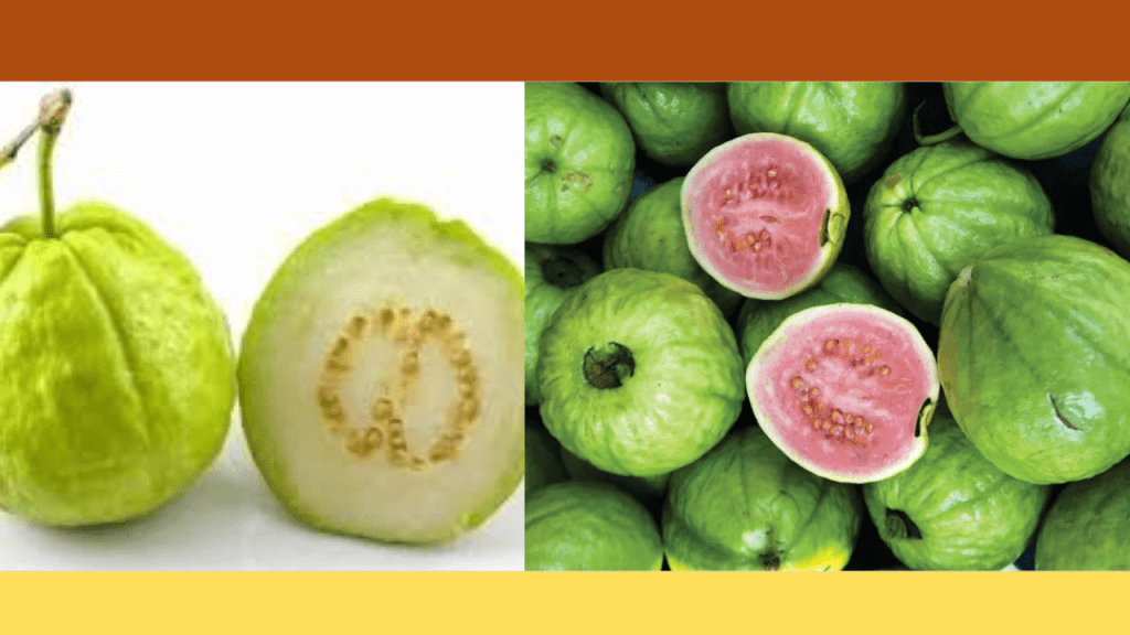 green guava