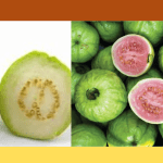 green guava