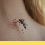 Chikungunya: Symptoms, Treatment, Tests, Recovery