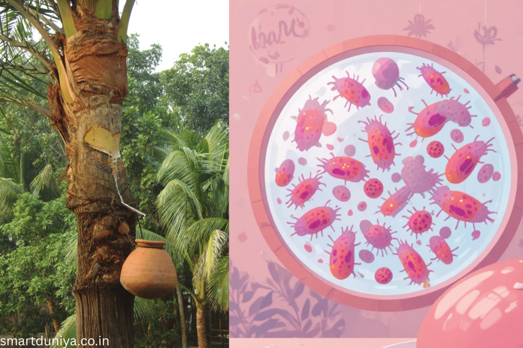 khejurer-ros-nipah-virus-jhuki-sottyo