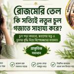 Rosemary Oil: চুল পড়া কমাতে ও Hair Growth বাড়াতে কতটা কার্যকর?